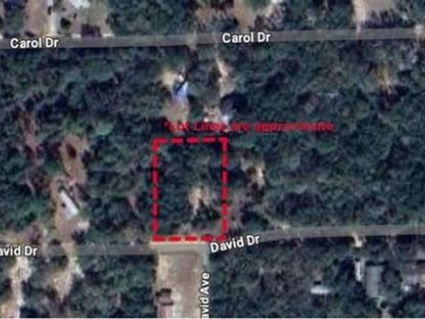 TBD DAVID DRIVE, INTERLACHEN, FL 32148