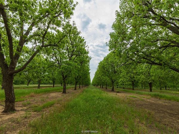 141 Pecan Bayou Lane, Brownwood, TX 76801