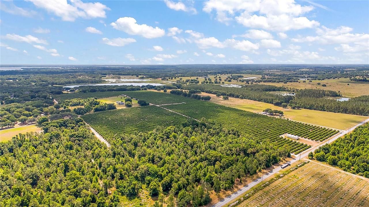 7351 Number Two Road, Howey in the Hills, FL 34737 Photo