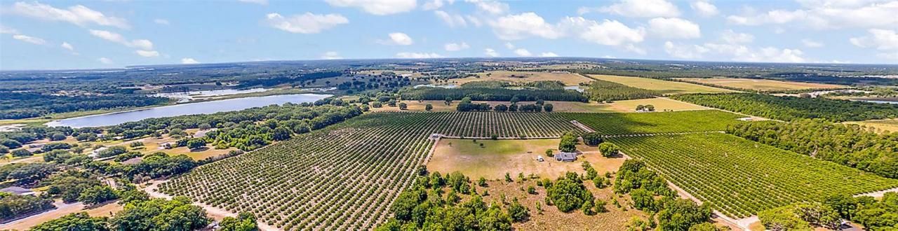 7351 Number Two Road, Howey in the Hills, FL 34737 Photo