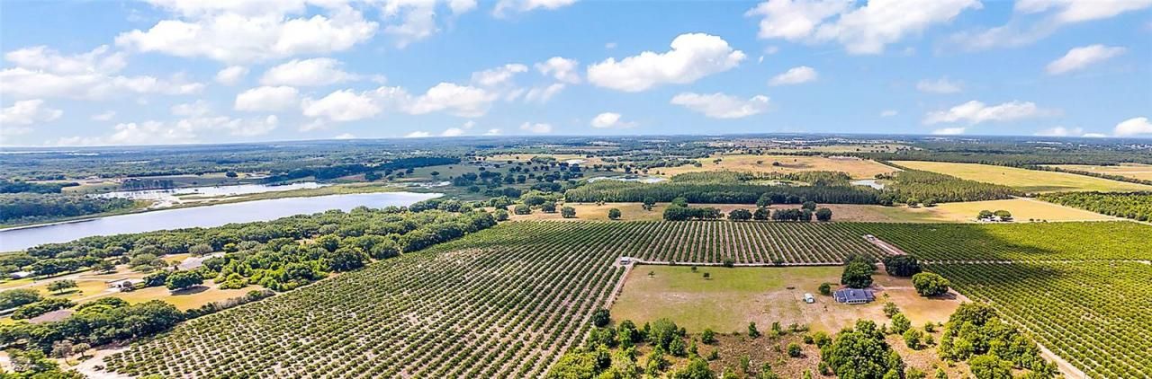 7351 Number Two Road, Howey in the Hills, FL 34737 Photo