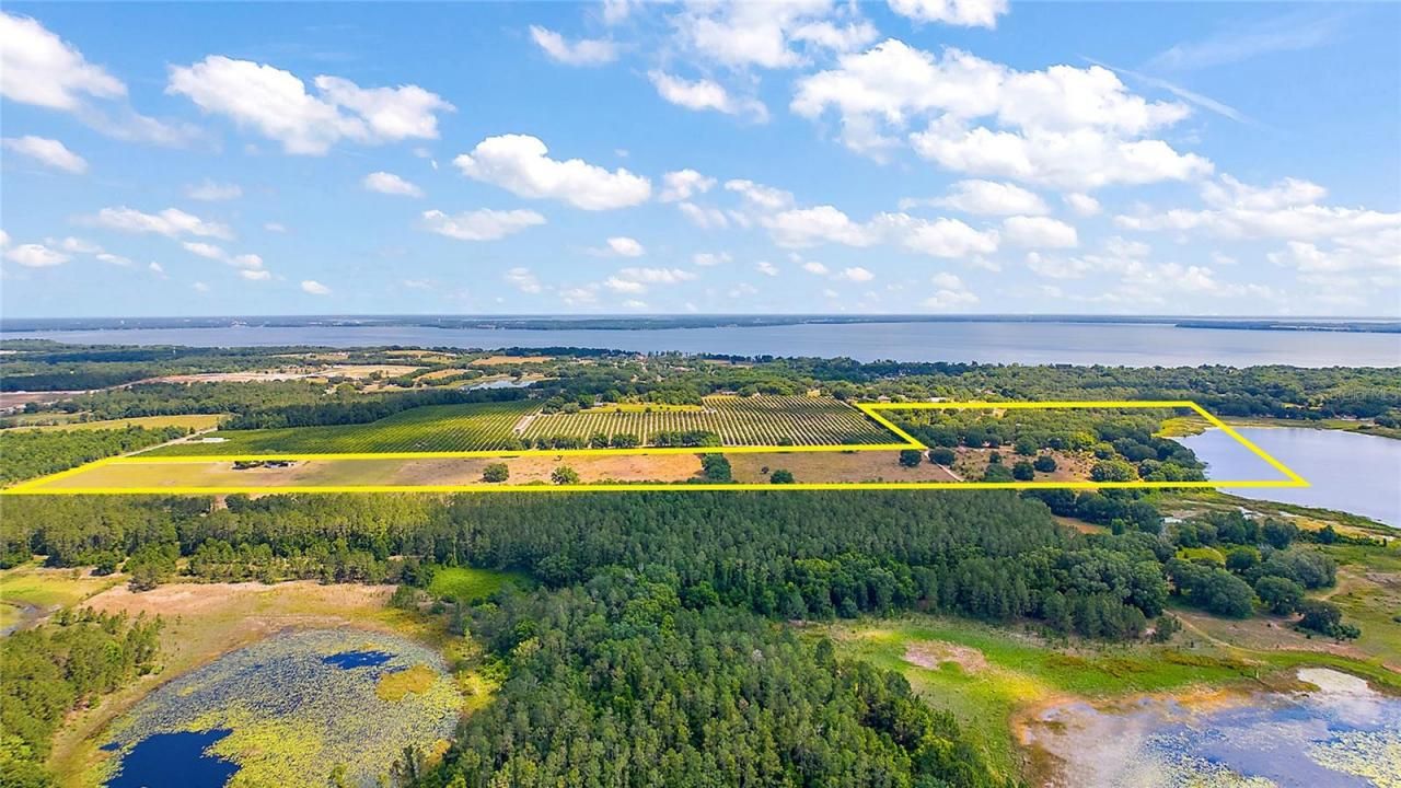 7351 Number Two Road, Howey in the Hills, FL 34737 Photo