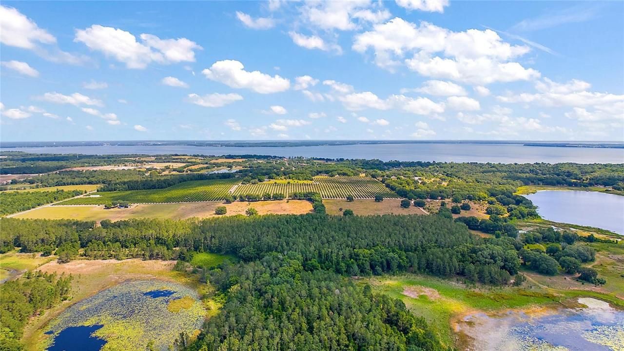 7351 Number Two Road, Howey in the Hills, FL 34737 Photo