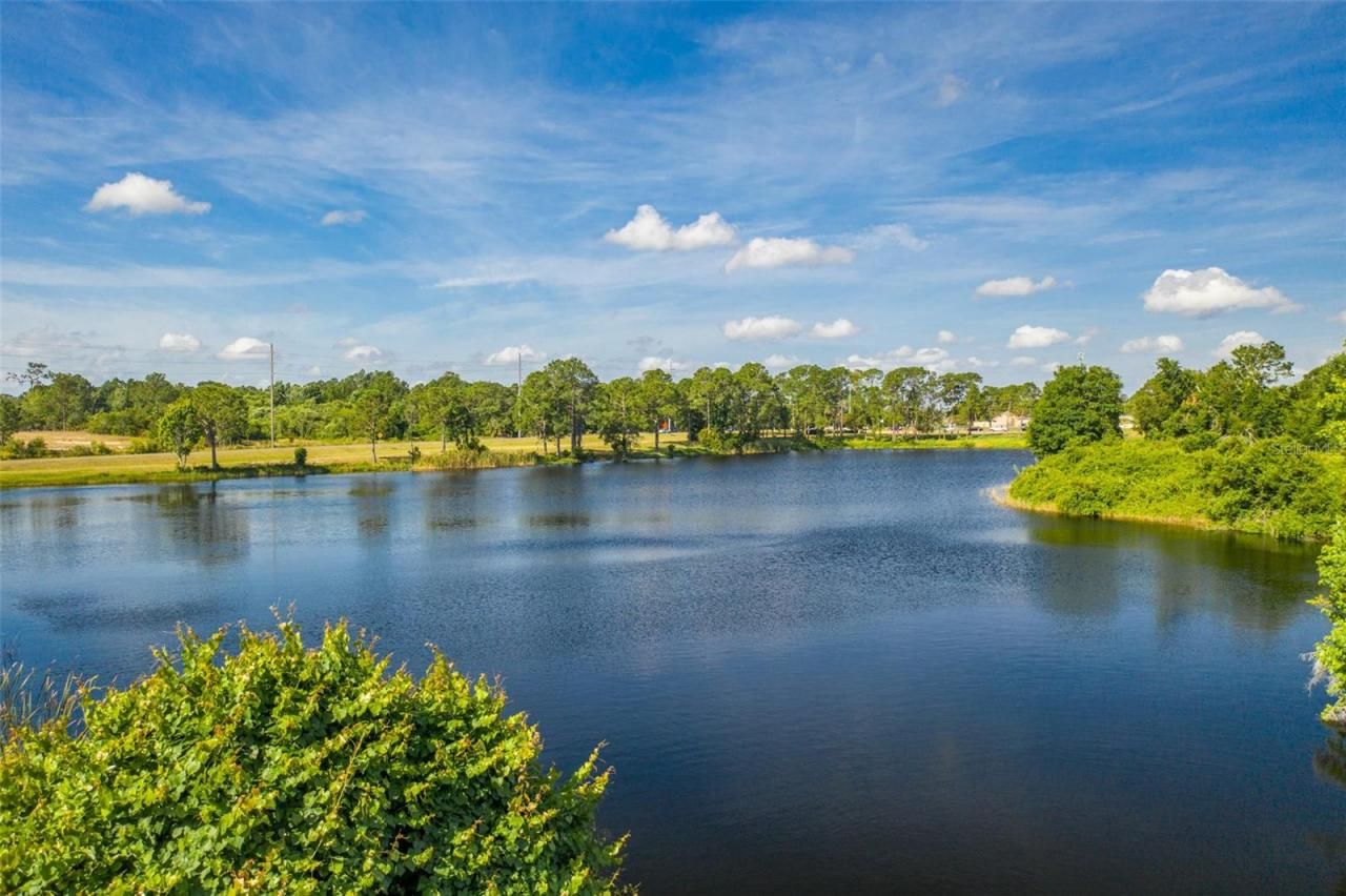 Laurel Avenue, Kissimmee, FL 34759 Photo