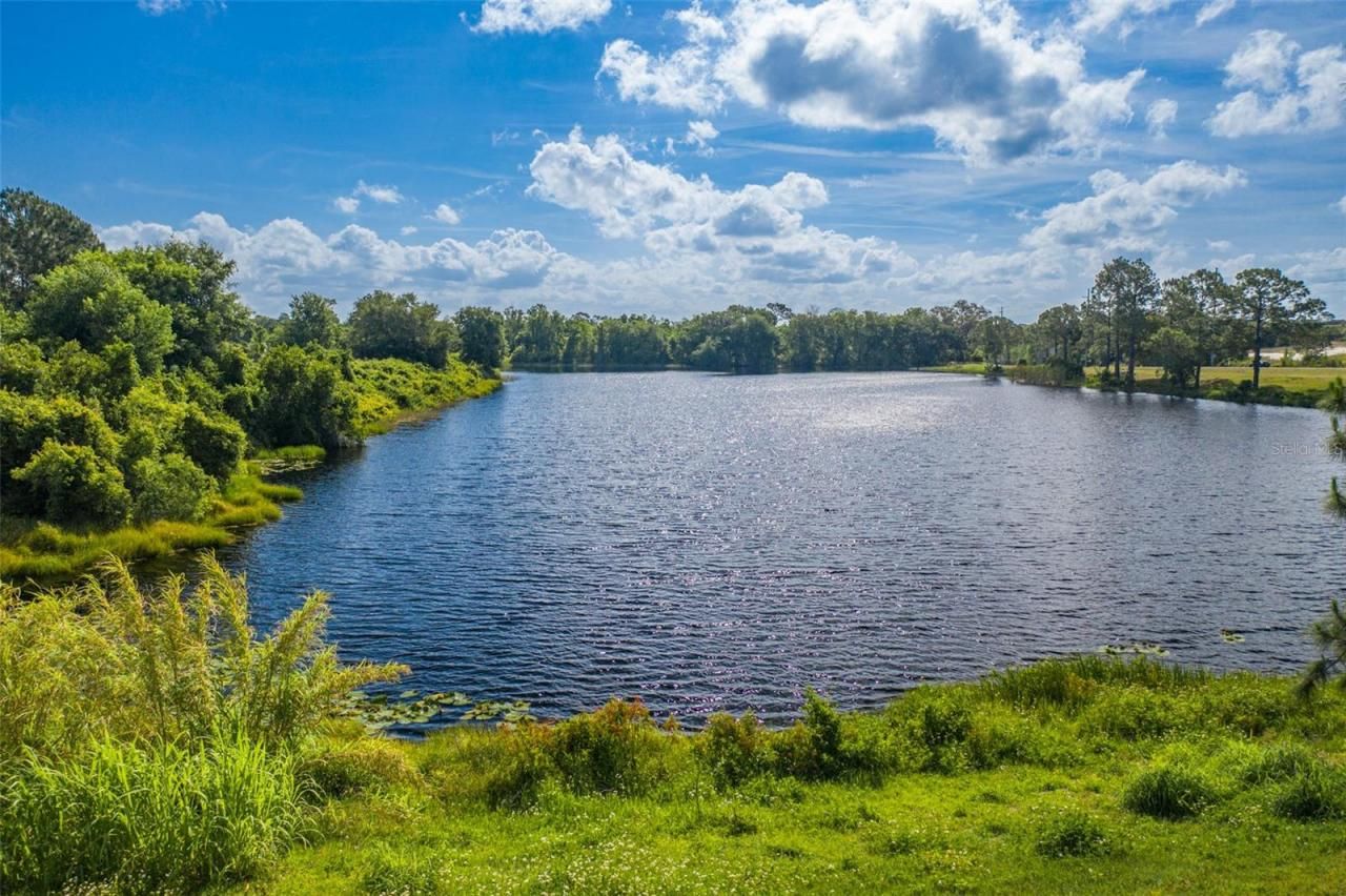 Laurel Avenue, Kissimmee, FL 34759 Photo