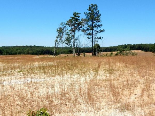 102 Hugh White State Park Road, Grenada, MS 38901