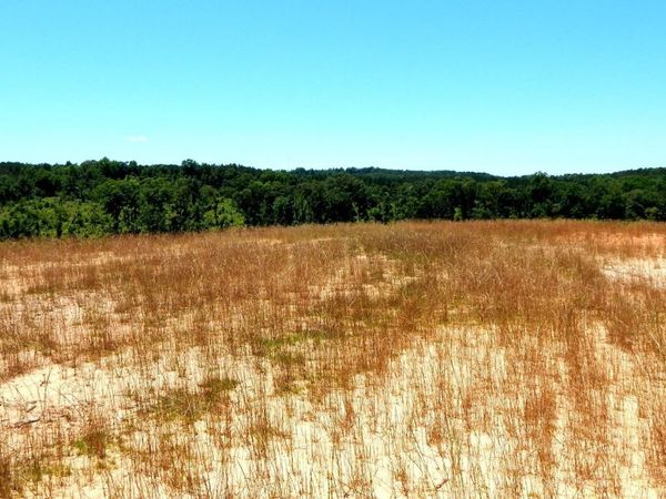 103 Hugh White State Park Road, Grenada, MS 38901