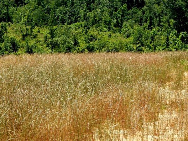 104 Hugh White State Park Road, Grenada, MS 38901