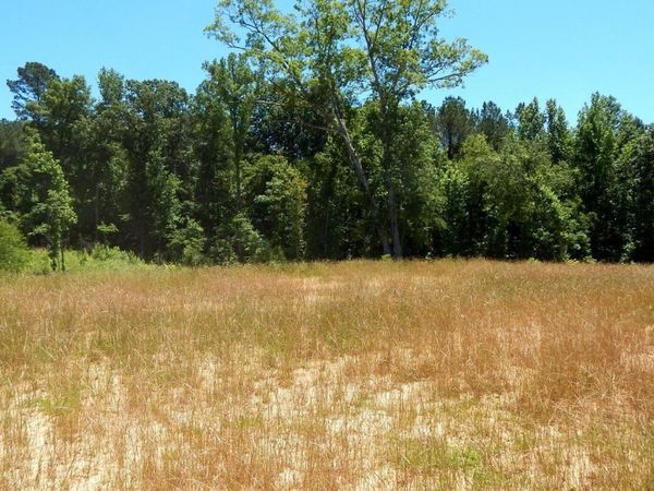 105 Hugh White State Park Road, Grenada, MS 38901