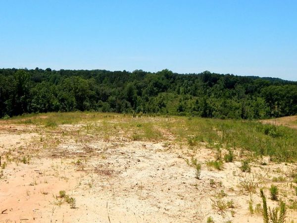 806 Hugh White State Park Road, Grenada, MS 38901