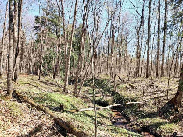 TBD N Firesteel Road, Greenland Twp, MI 49929