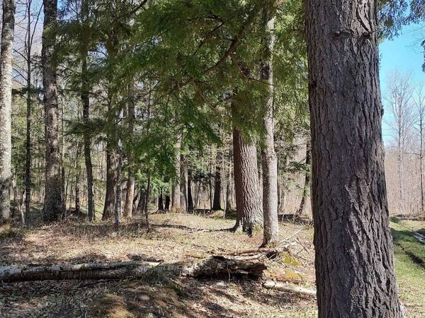 TBD N Firesteel Road, Greenland Twp, MI 49929