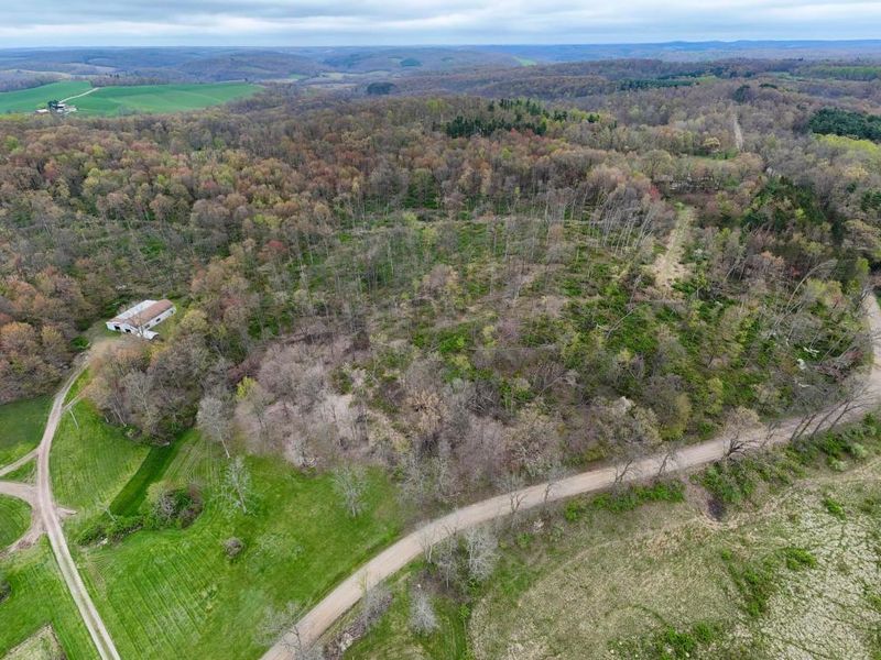 18021 Turkey Ridge Road, Danville, OH 43014 Photo 20