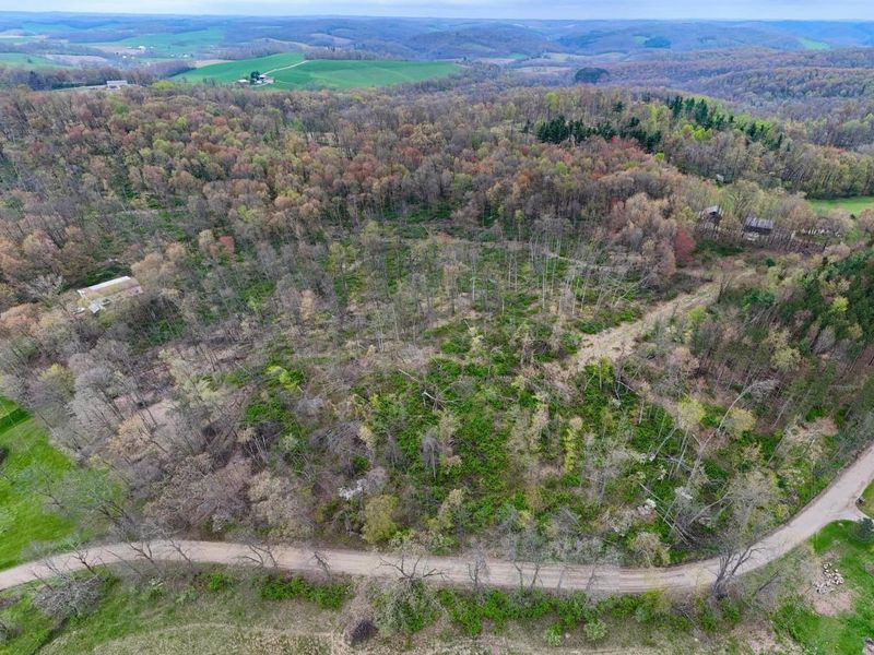 18021 Turkey Ridge Road, Danville, OH 43014 Photo 22