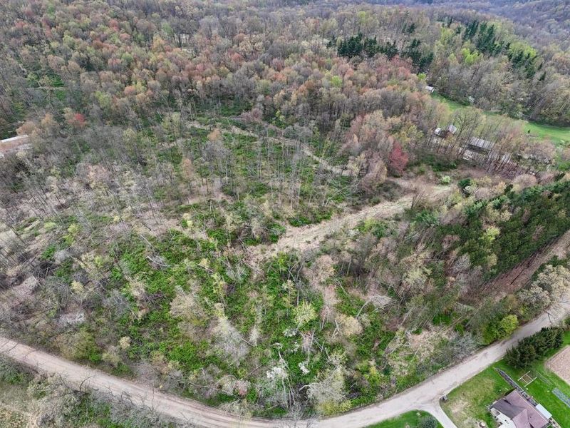 18021 Turkey Ridge Road, Danville, OH 43014 Photo 23