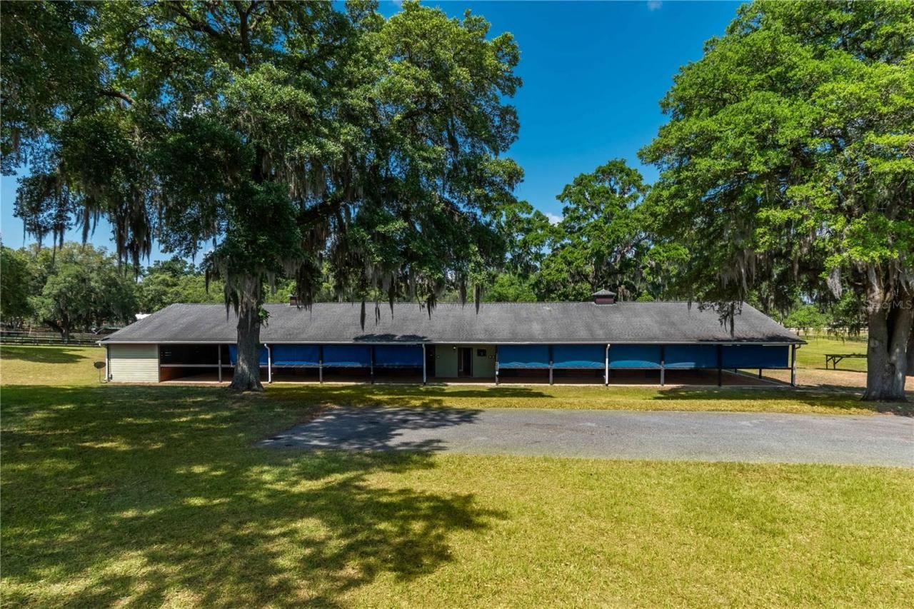 3670 SE 148th Terrace, Morriston, FL 32668 Photo