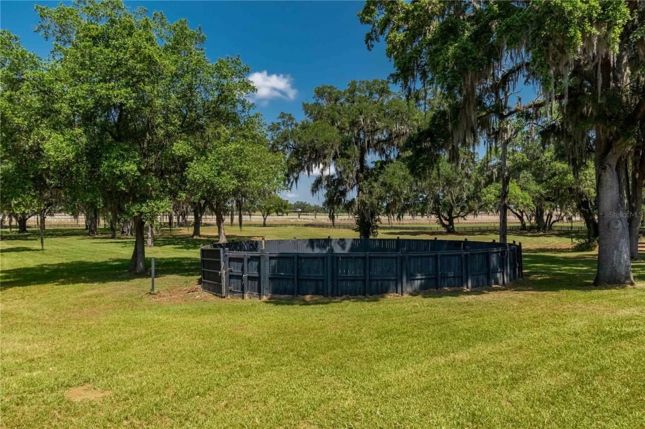 3670 SE 148th Terrace, Morriston, FL 32668 Photo