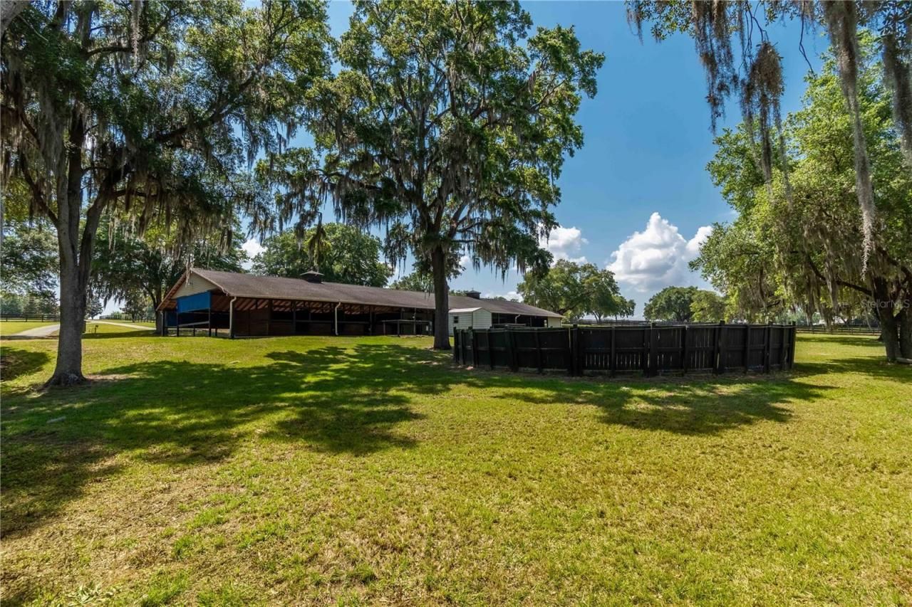 3670 SE 148th Terrace, Morriston, FL 32668 Photo