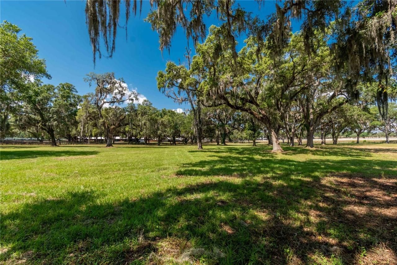 3670 SE 148th Terrace, Morriston, FL 32668 Photo