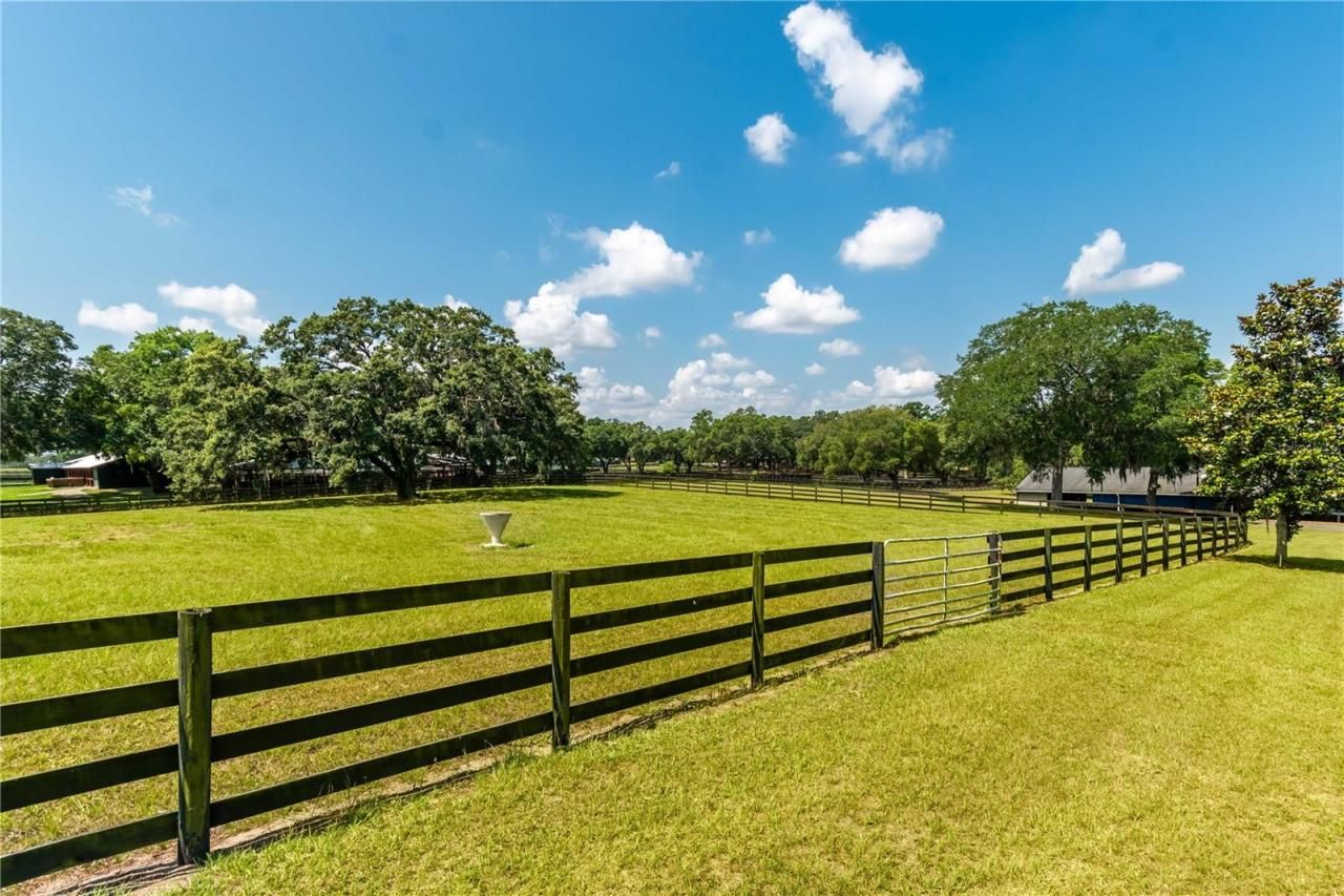 3670 SE 148th Terrace, Morriston, FL 32668 Photo