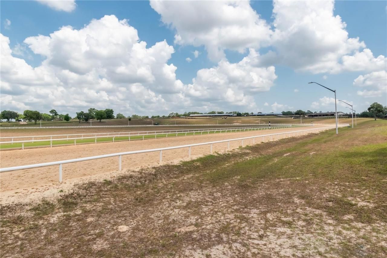 3670 SE 148th Terrace, Morriston, FL 32668 Photo