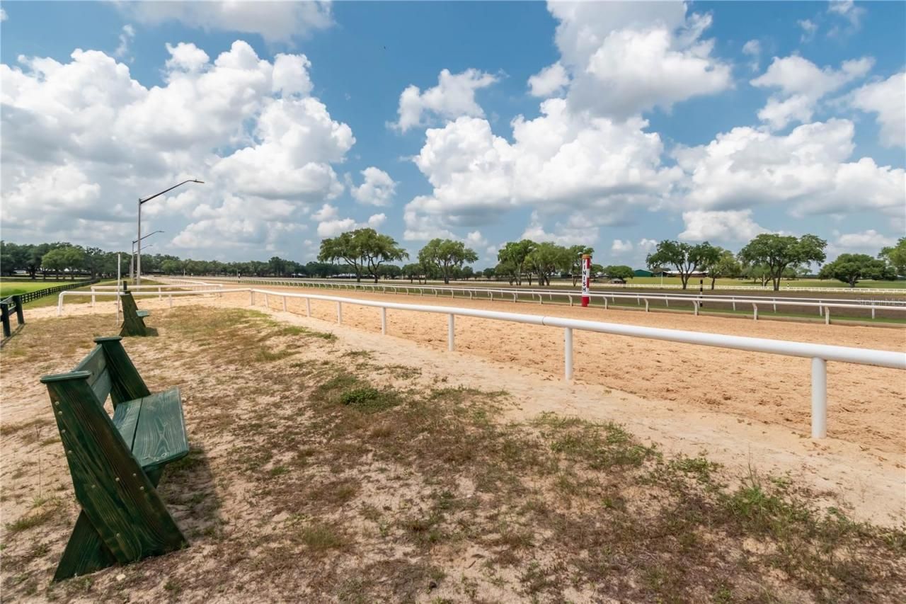 3670 SE 148th Terrace, Morriston, FL 32668 Photo