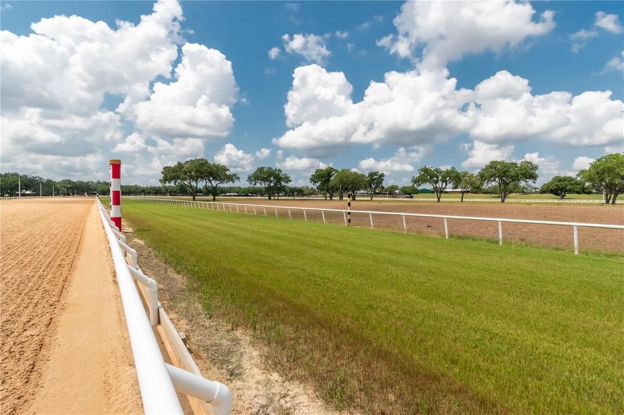 3670 SE 148th Terrace, Morriston, FL 32668 Photo