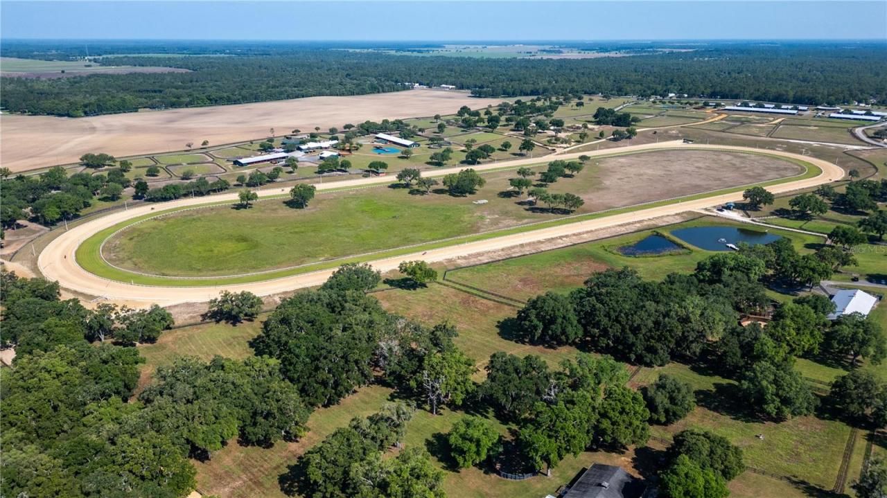 3670 SE 148th Terrace, Morriston, FL 32668 Photo