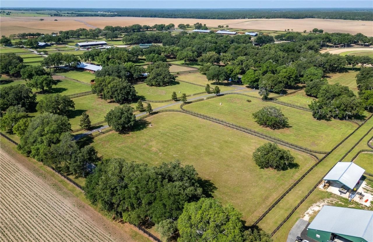 3670 SE 148th Terrace, Morriston, FL 32668 Photo