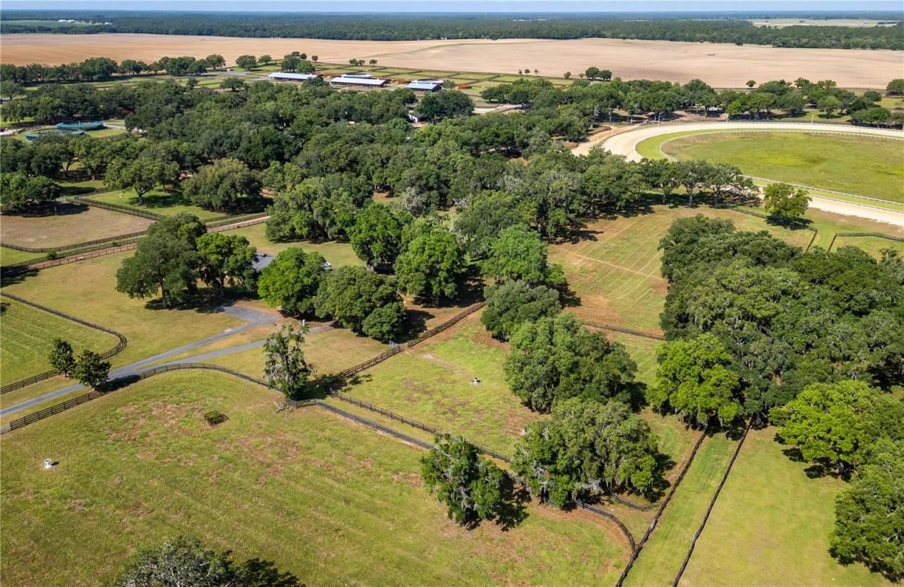 3670 SE 148th Terrace, Morriston, FL 32668 Photo