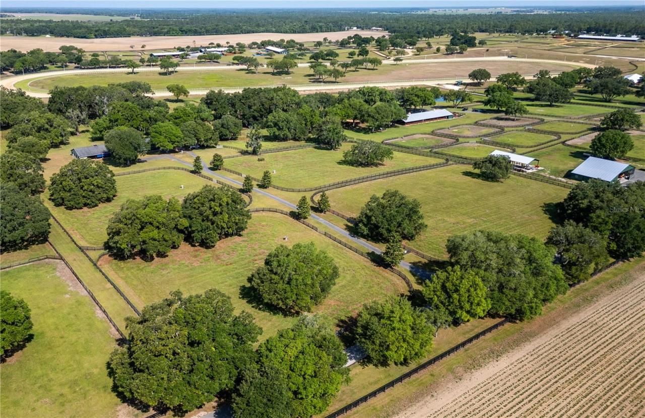 3670 SE 148th Terrace, Morriston, FL 32668 Photo