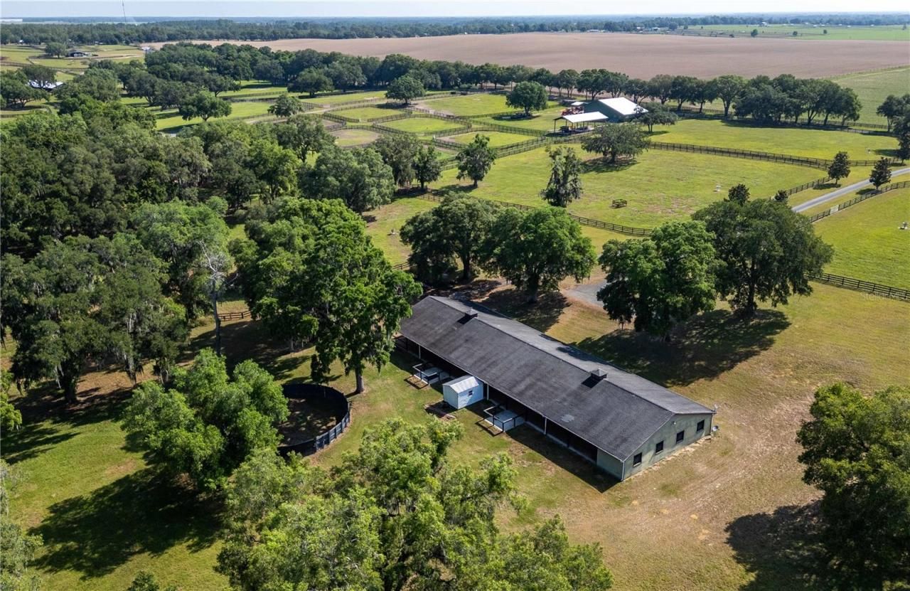 3670 SE 148th Terrace, Morriston, FL 32668 Photo