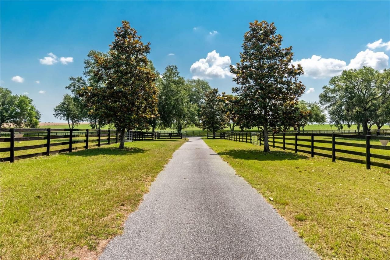 3670 SE 148th Terrace, Morriston, FL 32668 Photo