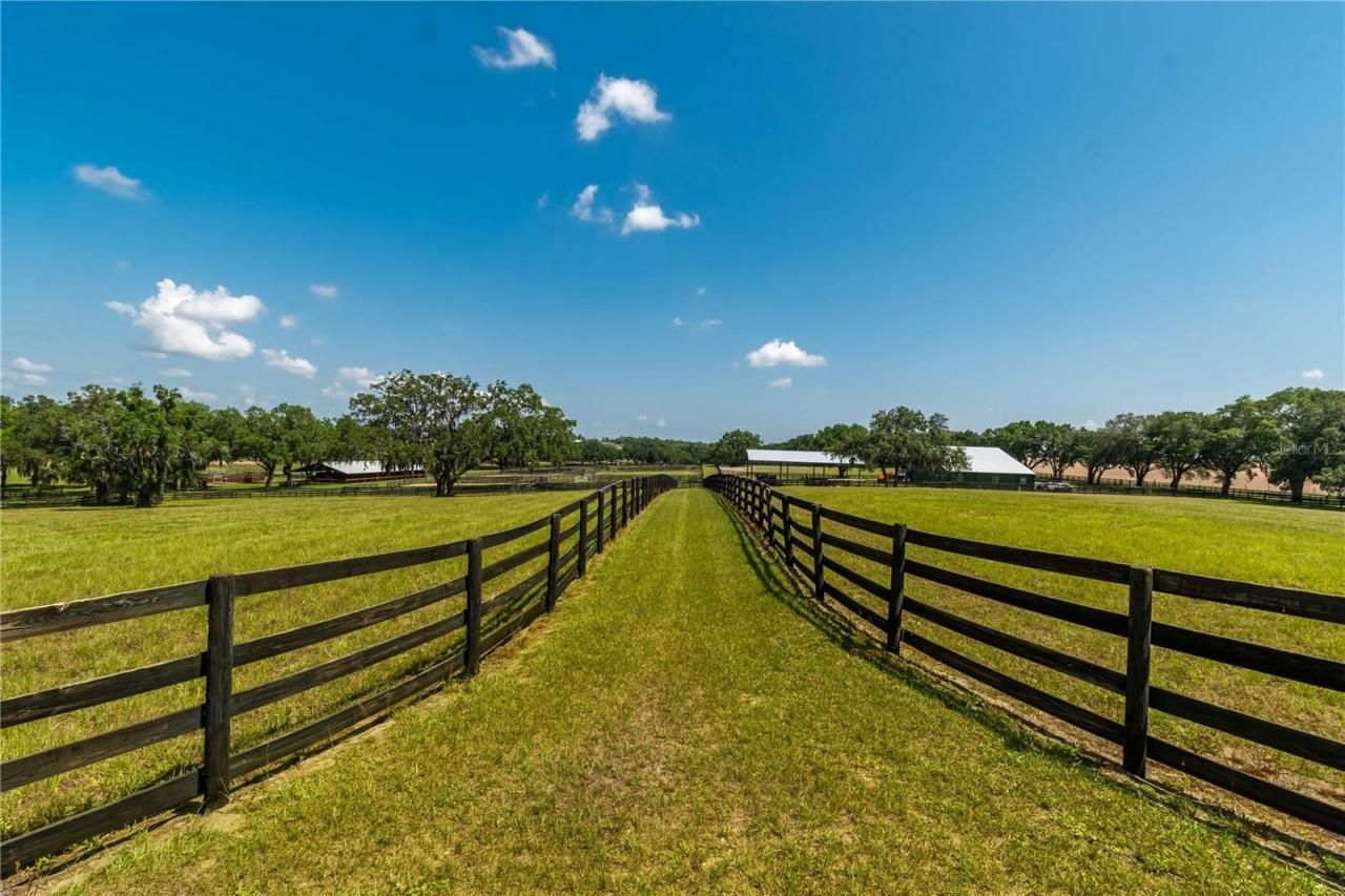 3670 SE 148th Terrace, Morriston, FL 32668 Photo