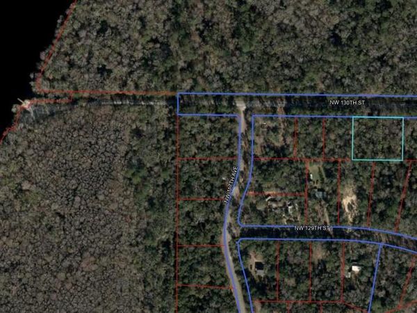 00 NW 130TH STREET, CHIEFLAND, FL 32626