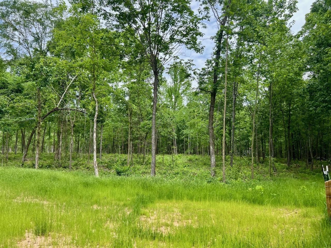 0 Highway 368 Hwy, Grand Junction, TN 38039 Main Photo