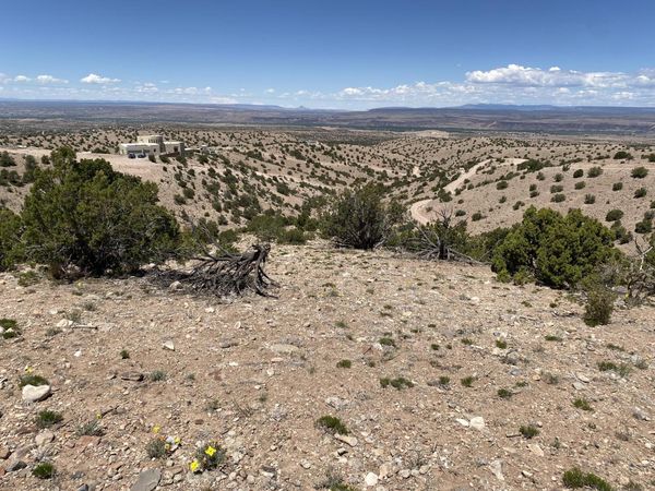Camino Halcon, Placitas, NM 87043