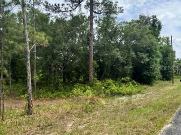 TBD 170th SE AVENUE ROAD, OCKLAWAHA, FL 32179