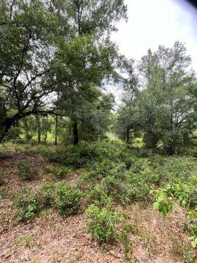 Tbd 170th SE Avenue Road, Ocklawaha, FL 32179 Photo