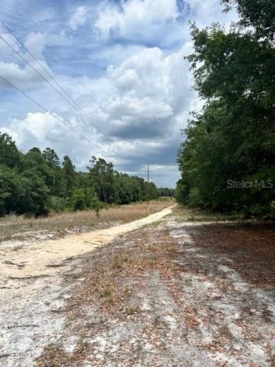 Tbd 170th SE Avenue Road, Ocklawaha, FL 32179 Photo