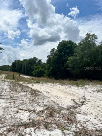 Tbd 170th SE Avenue Road, Ocklawaha, FL 32179 Photo