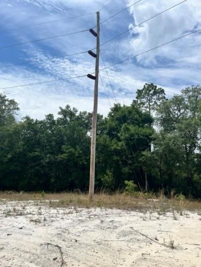 Tbd 170th SE Avenue Road, Ocklawaha, FL 32179 Photo