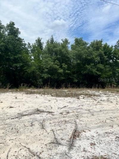 Tbd 170th SE Avenue Road, Ocklawaha, FL 32179 Photo