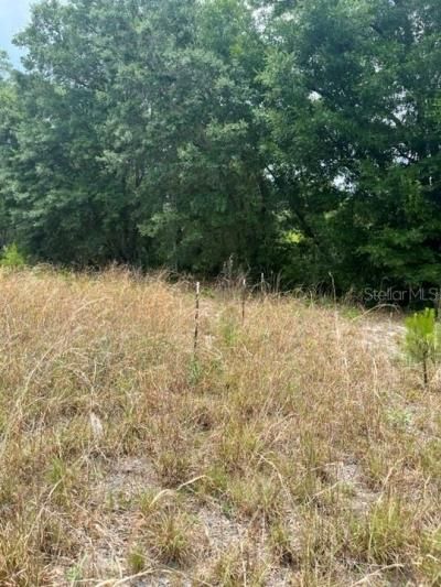 Tbd 170th SE Avenue Road, Ocklawaha, FL 32179 Photo