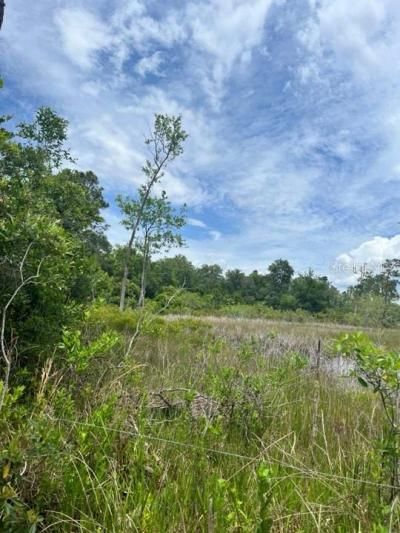 Tbd 170th SE Avenue Road, Ocklawaha, FL 32179 Photo