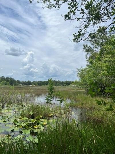 Tbd 170th SE Avenue Road, Ocklawaha, FL 32179 Photo
