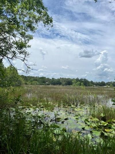 Tbd 170th SE Avenue Road, Ocklawaha, FL 32179 Photo