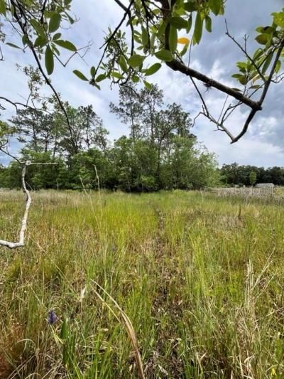 Tbd 170th SE Avenue Road, Ocklawaha, FL 32179 Photo