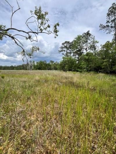 Tbd 170th SE Avenue Road, Ocklawaha, FL 32179 Photo