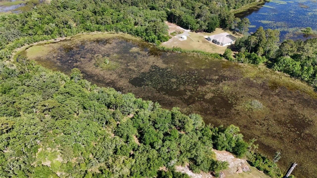 Tbd 170th SE Avenue Road, Ocklawaha, FL 32179 Photo